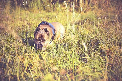 Parys wpadł życzyć Wszystkim miłego wieczoru <3